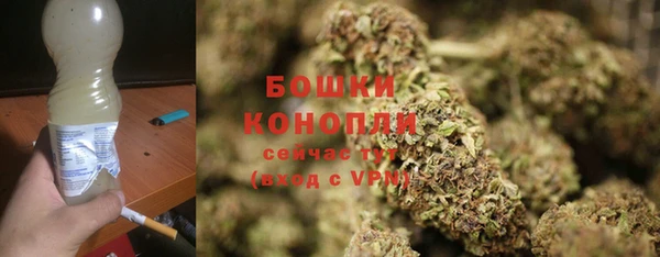 PSILOCYBIN Кулебаки