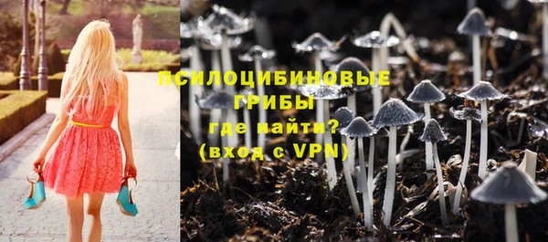 СК Куйбышев
