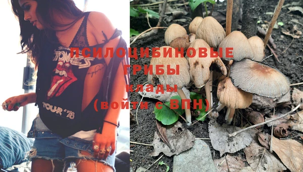 PSILOCYBIN Кулебаки
