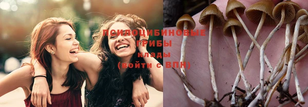 PSILOCYBIN Кулебаки
