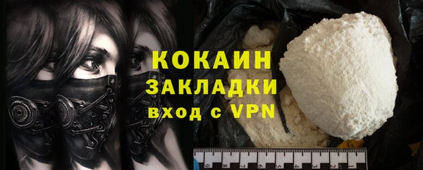 PSILOCYBIN Кулебаки