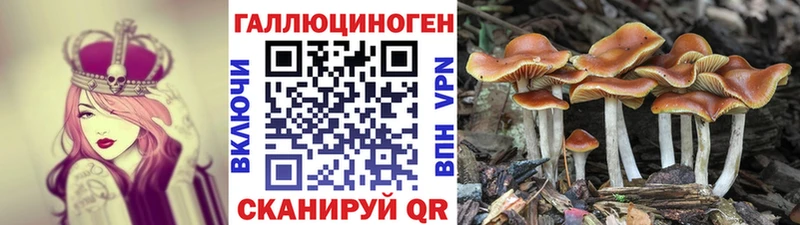 ссылка на мегу ссылка  Кувандык  Галлюциногенные грибы ЛСД 