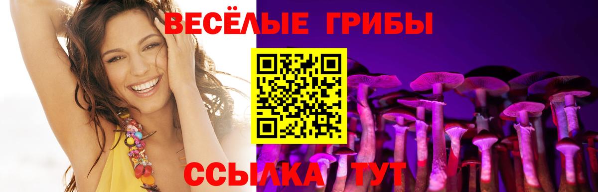 Кувандык  Псилоцибиновые грибы Psilocybe  даркнет сайт  Вход с VPN 